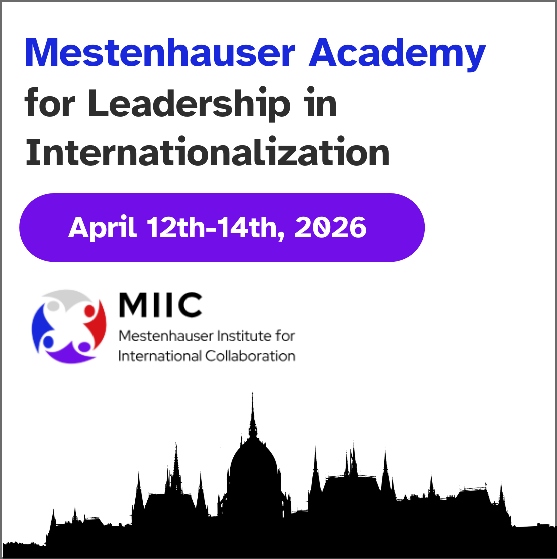 Join our 2026 Program: Mestenhauser Academy for International Leadership